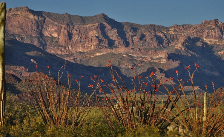 Senita Basin